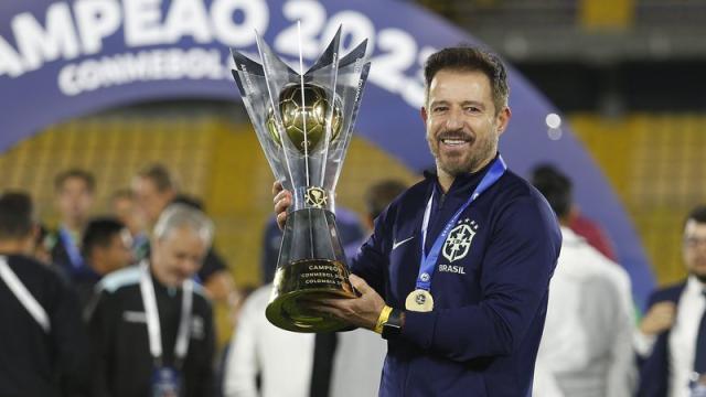 开云下载-巴西队6月在诺坎普和光明球场作赛 仍是临时主帅